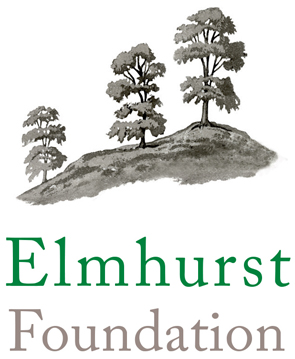 elmhurst foundation logo